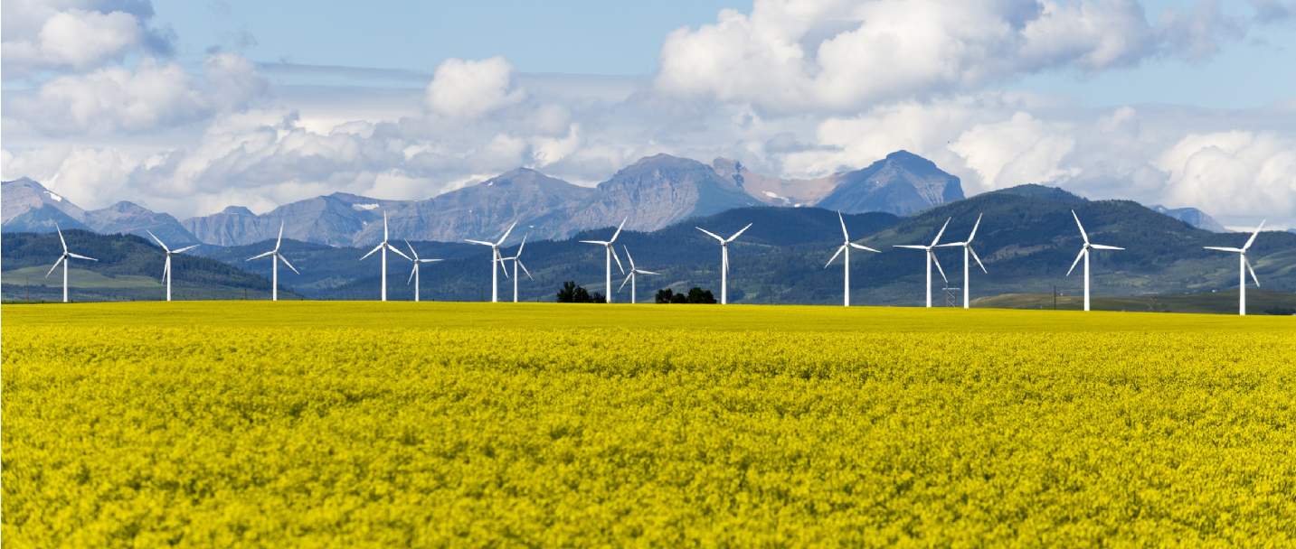 ESG and Sustainability