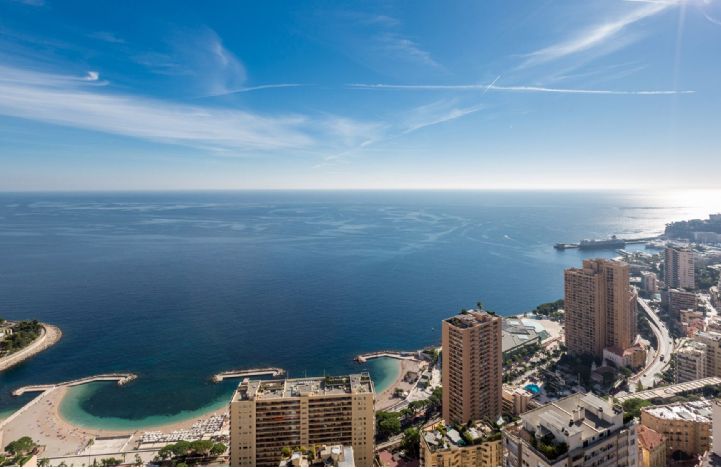 Apartment for Sale - Larvotto - View on Larvotto - Savills Monaco